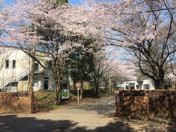 社会福祉法人あしたば 中野学園